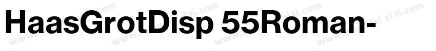 HaasGrotDisp 55Roman字体转换